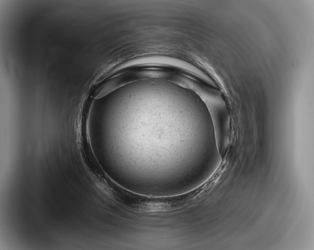 X0000087670154200705111204