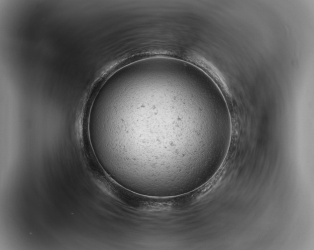 X0000087670155200705111204