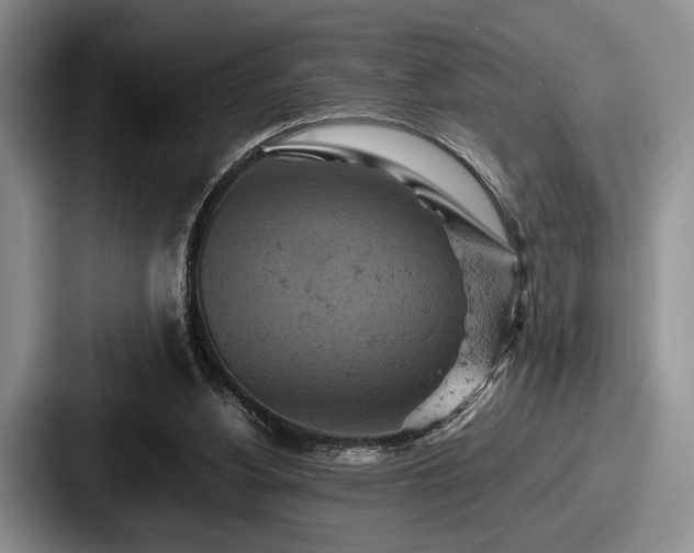 X0000087670156200705111204