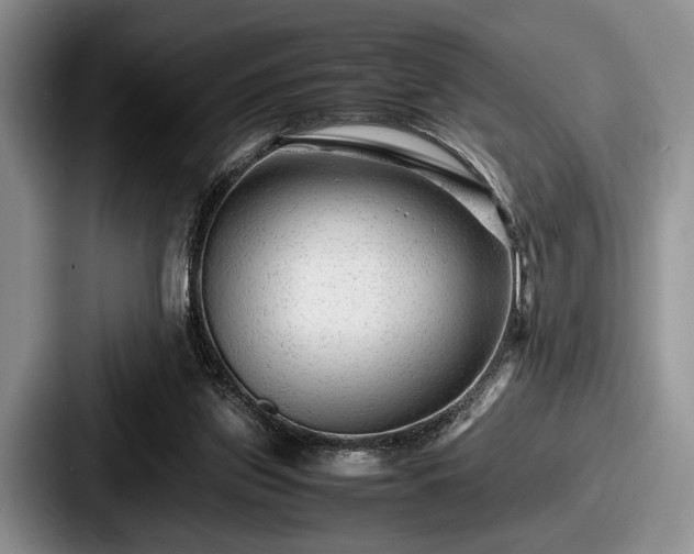 X0000087670157200705111204