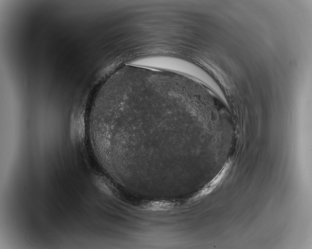 X0000087670158200705111204