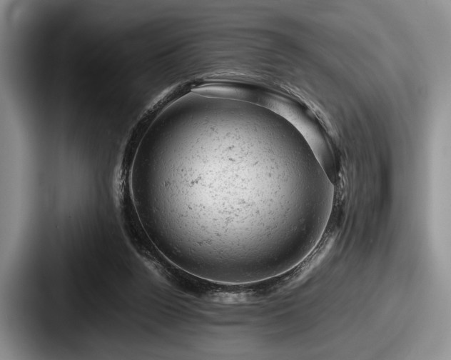 X0000087670160200705111204