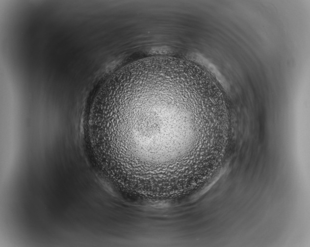 X0000087670161200705111204