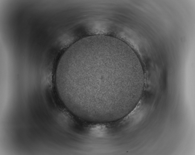 X0000087670162200705111204