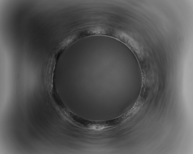 X0000087670163200705111204