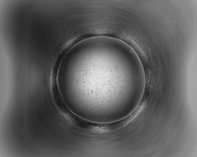 X0000087670164200705111204