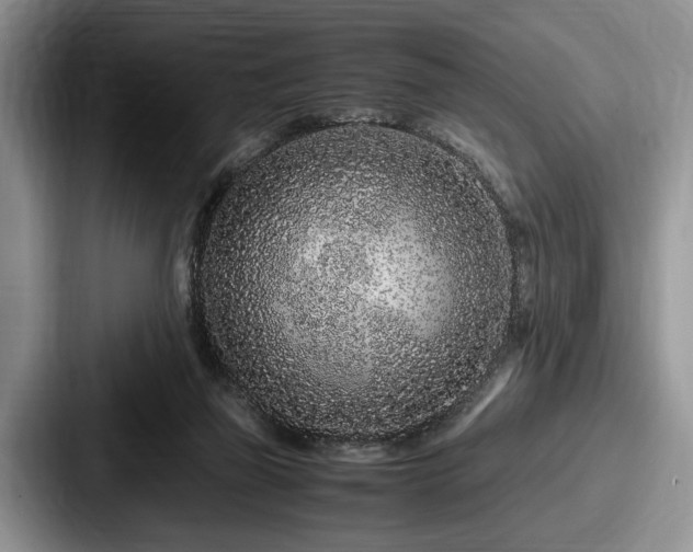 X0000087670165200705111204