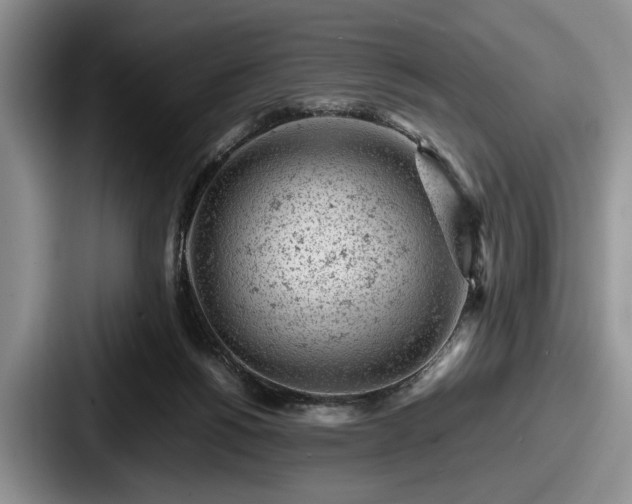 X0000087670168200705111204