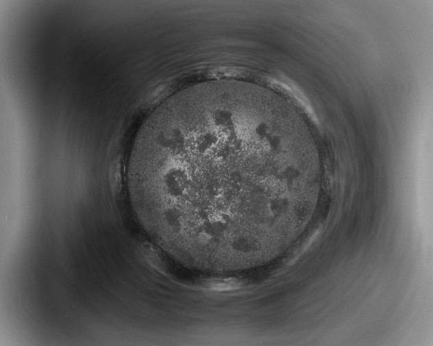 X0000087670169200705111204