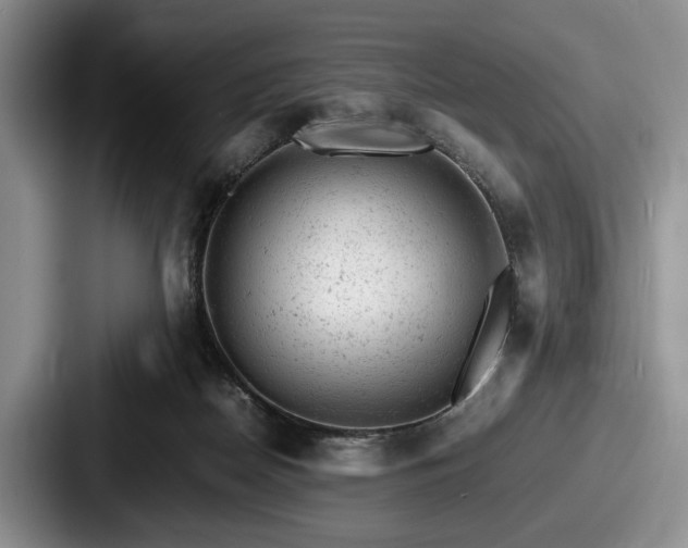 X0000087670170200705111204