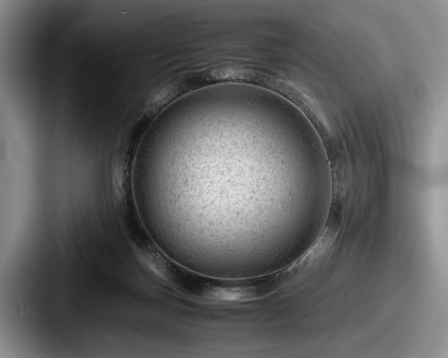 X0000087670171200705111204