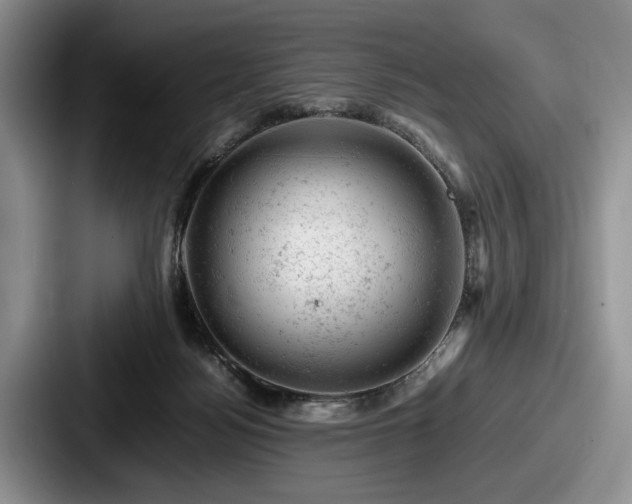 X0000087670172200705111204