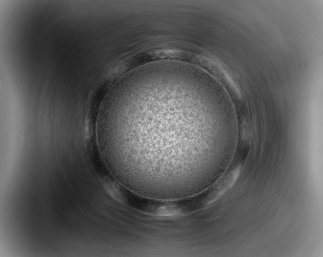 X0000087670173200705111205