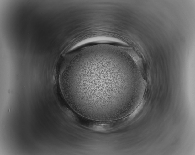 X0000087670174200705111205