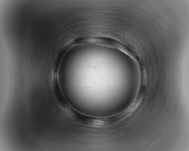 X0000087670176200705111205