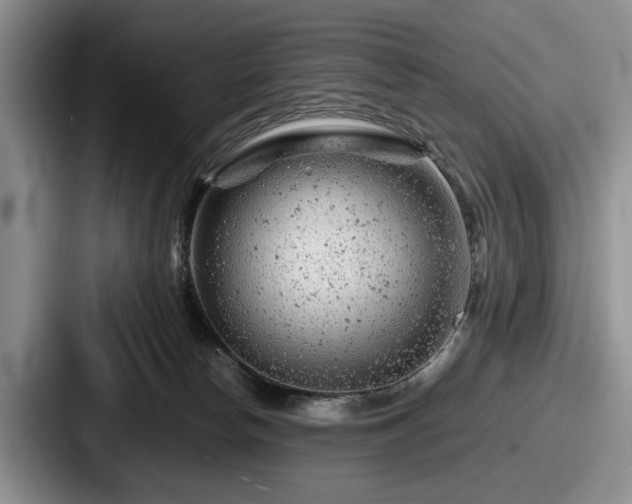 X0000087670178200705111205