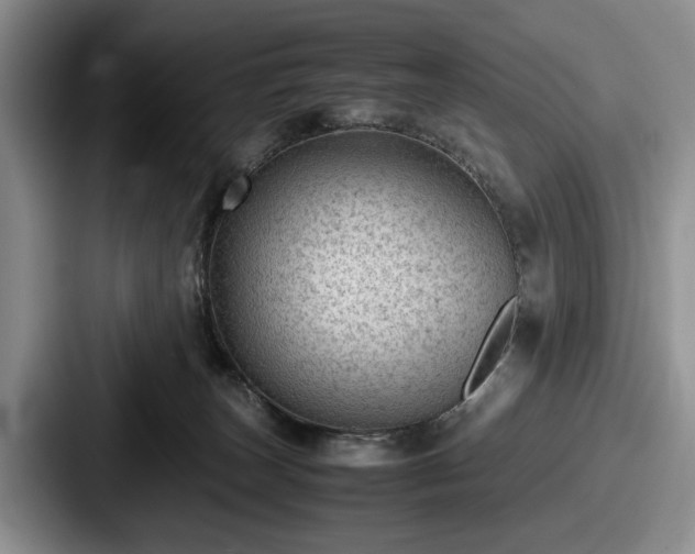 X0000087670179200705111205