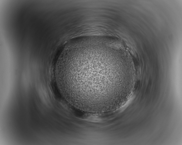 X0000087670182200705111205