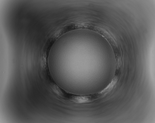 X0000087670183200705111205