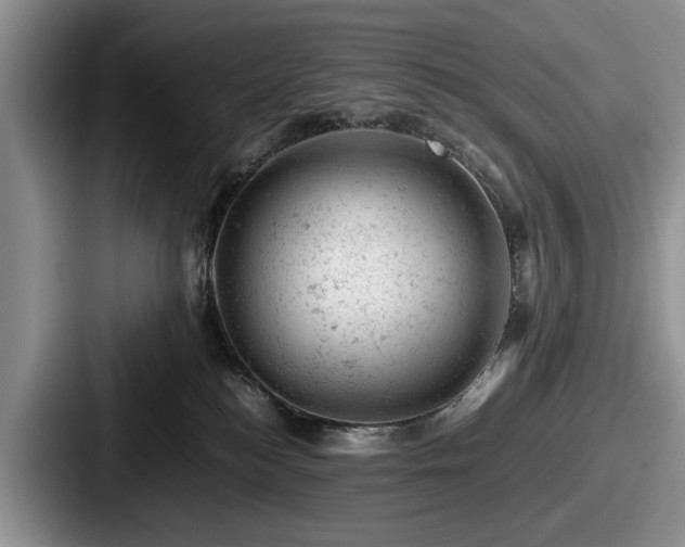 X0000087670184200705111205