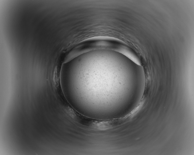 X0000087670186200705111205