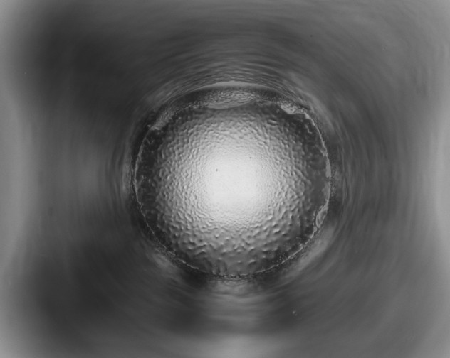 X0000087670189200705111205