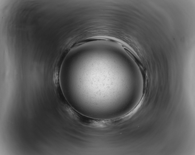 X0000087670190200705111205