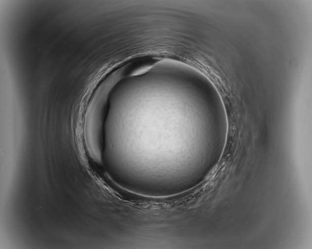 X0000087670193200705111204