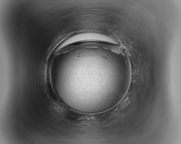 X0000087670194200705111204