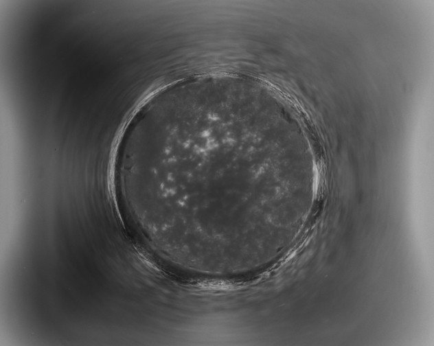 X0000087670195200705111204