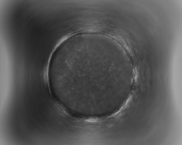 X0000087670196200705111204