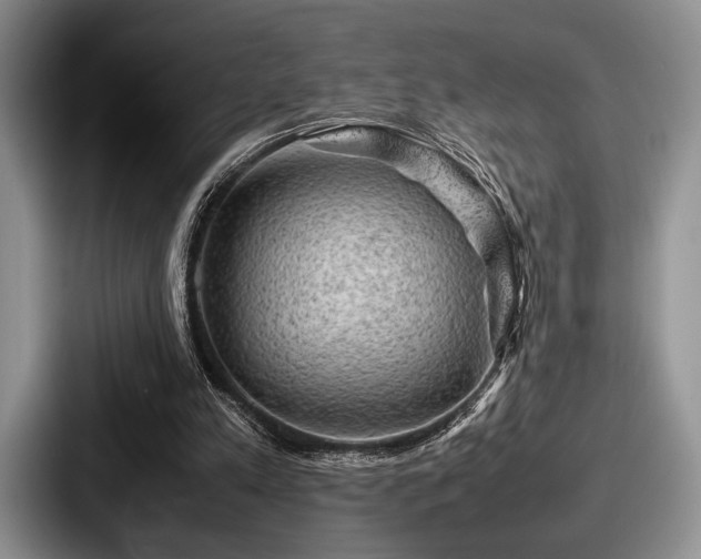 X0000087670197200705111204