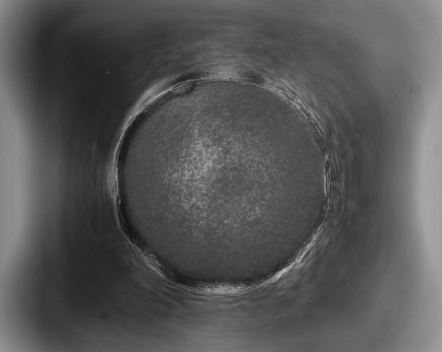 X0000087670198200705111204