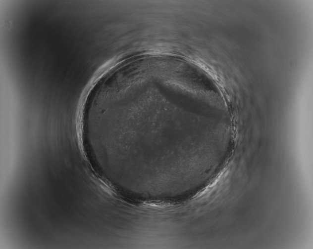 X0000087670199200705111204