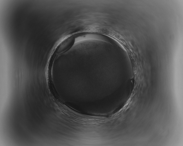 X0000087670200200705111204