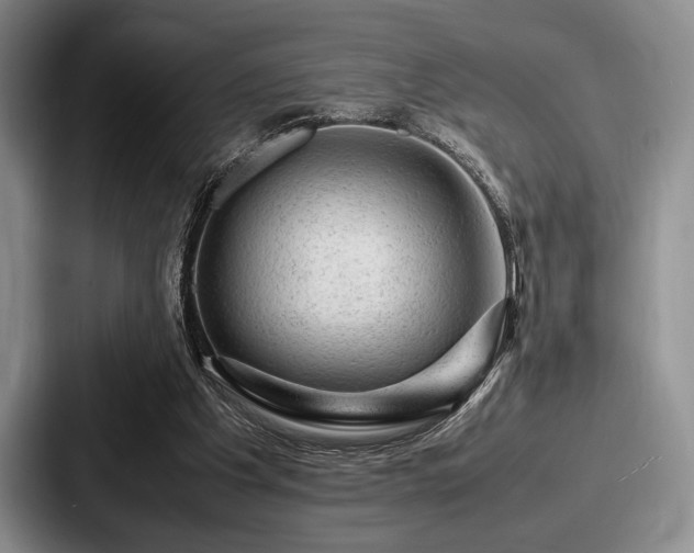 X0000087670201200705111204