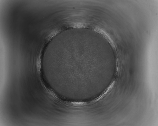 X0000087670202200705111204