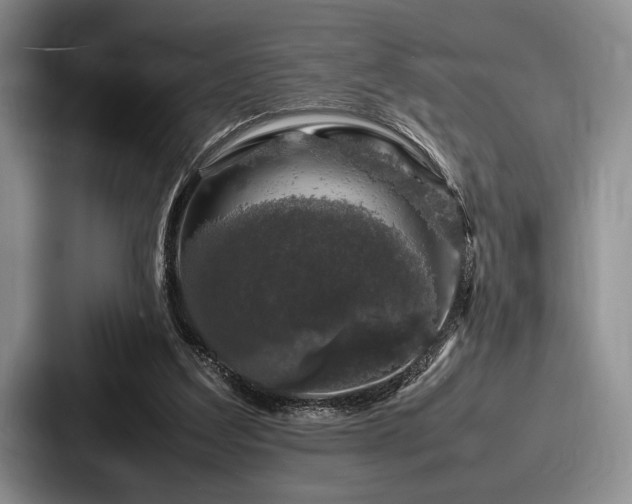 X0000087670203200705111204