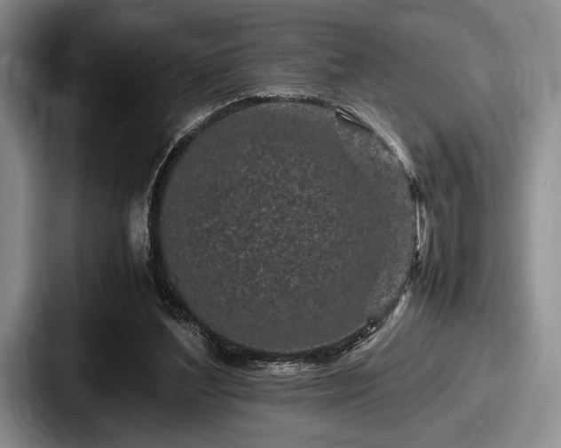 X0000087670204200705111204