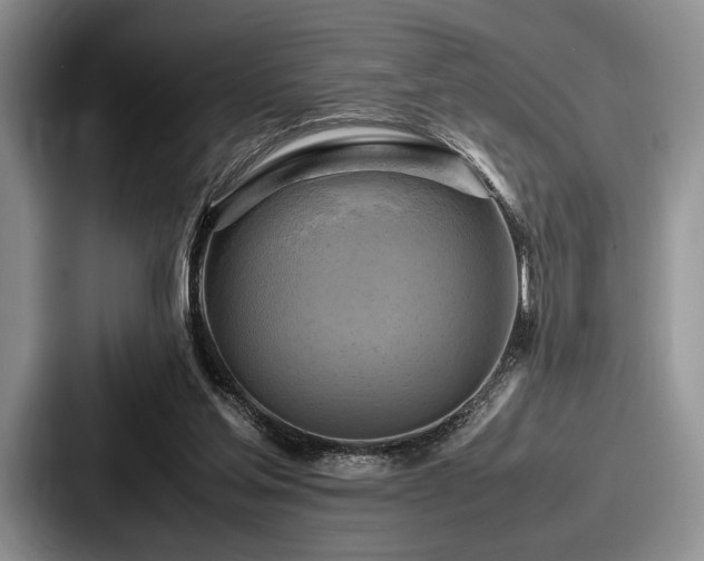 X0000087670205200705111204