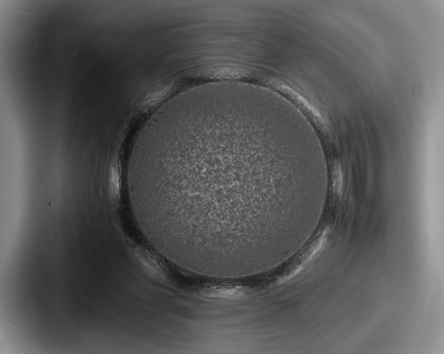 X0000087670206200705111204