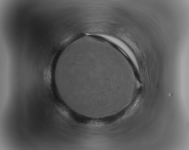 X0000087670207200705111204