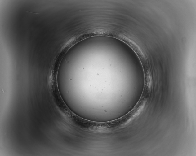 X0000087670208200705111204