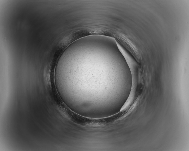 X0000087670209200705111204