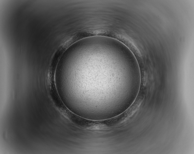 X0000087670210200705111204