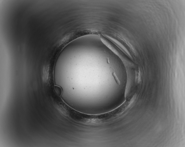 X0000087670212200705111204