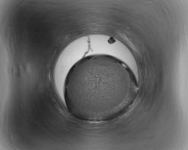 X0000087670213200705111204