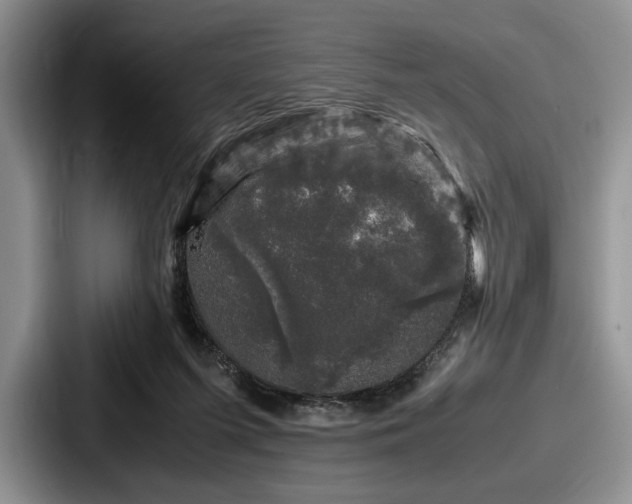 X0000087670215200705111204