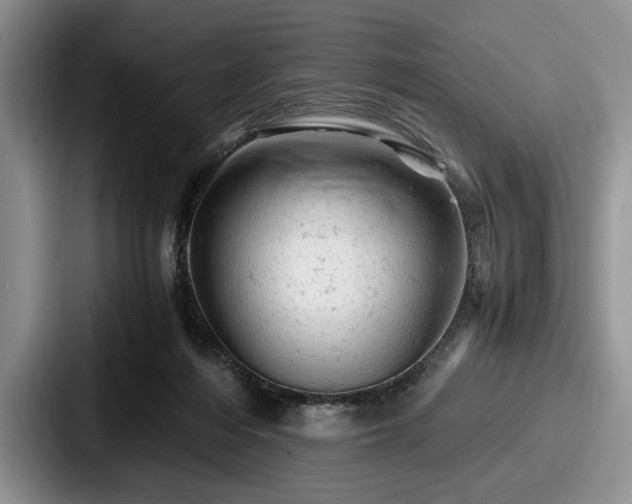 X0000087670216200705111204