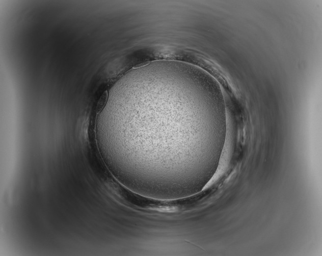 X0000087670217200705111204